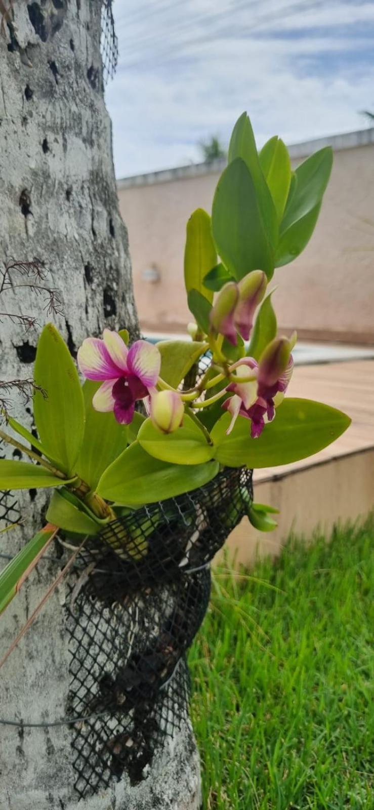 Uma Casa Para O Descanso! Camaçari المظهر الخارجي الصورة